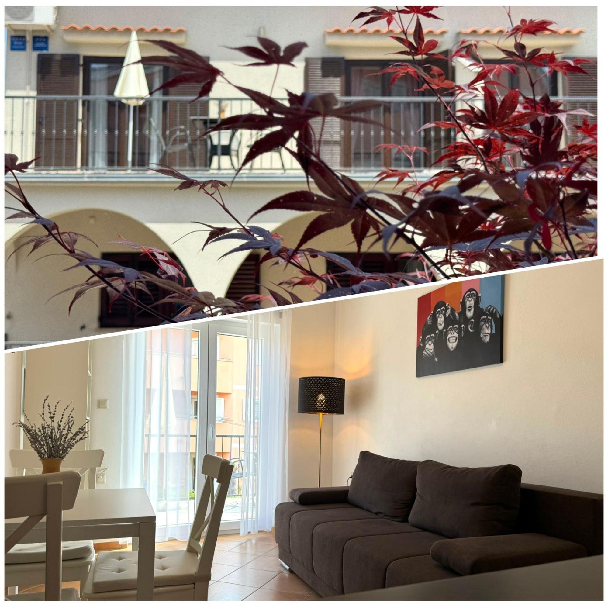 Apartments Ein Haus In Der Sonne 马林斯卡 外观 照片